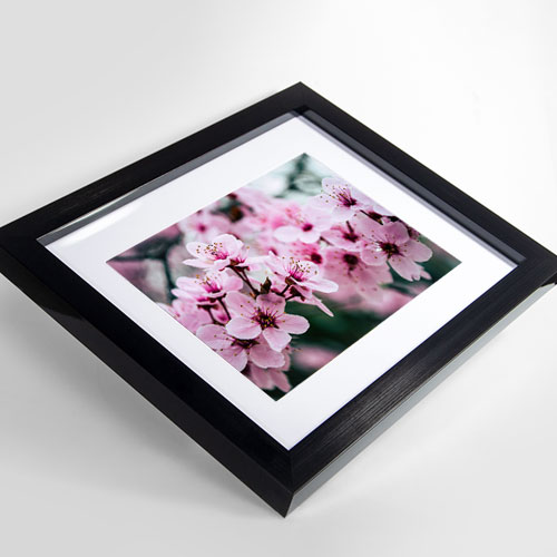 Contemporary Black Frame options banner