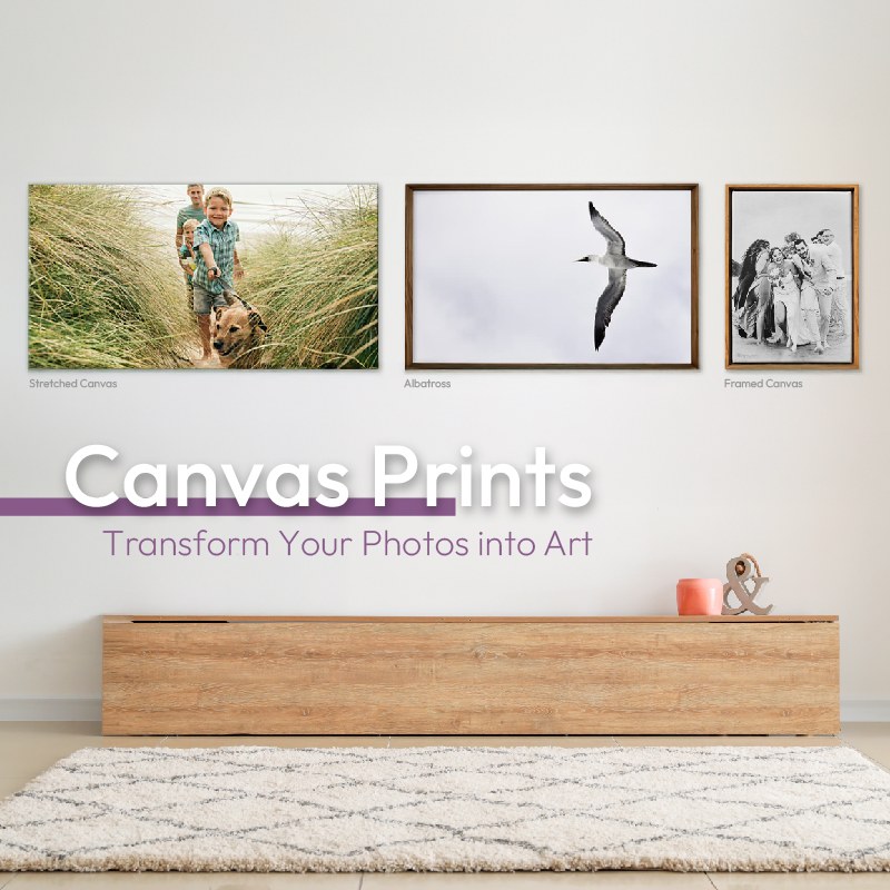 PrintWild Canvas Prints banner