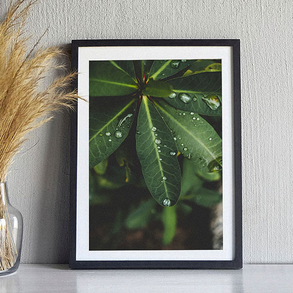 Earth Gallery Frame