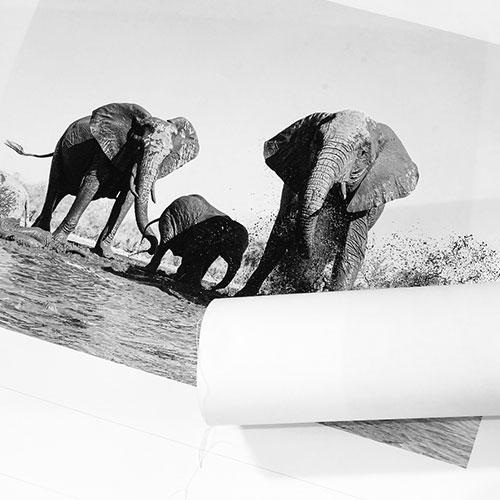 Loose Canvas Prints banner