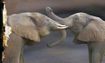 Loose canvas prints provide an artistic feel