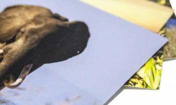 Mini Photobox Jumbo Prints with semi-gloss paper