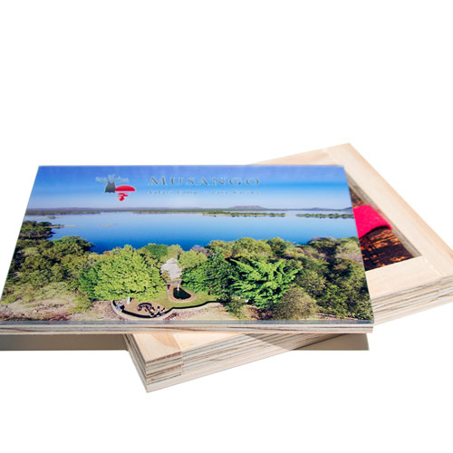 Standard Stretched Canvas banner
