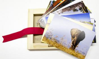 Mini Photobox fits 50 Jumbo Prints