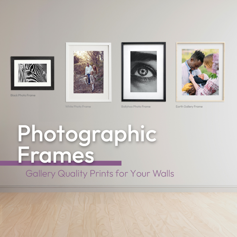 PrintWild Canvas Prints banner
