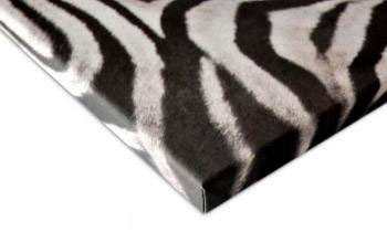 Premium Stretched Canvases durable protective coating